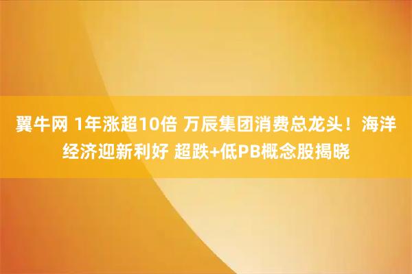 翼牛网 1年涨超10倍 万辰集团消费总龙头！海洋经济迎新利好 超跌+低PB概念股揭晓