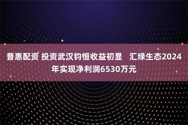 普惠配资 投资武汉钧恒收益初显   汇绿生态2024年实现净利润6530万元