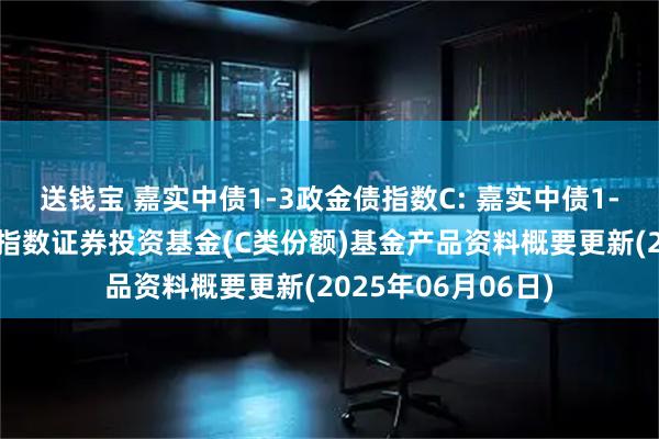 送钱宝 嘉实中债1-3政金债指数C: 嘉实中债1-3年政策性金融债指数证券投资基金(C类份额)基金产品资料概要更新(2025年06月06日)