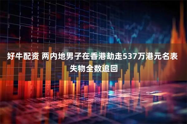 好牛配资 两内地男子在香港劫走537万港元名表 失物全数追回